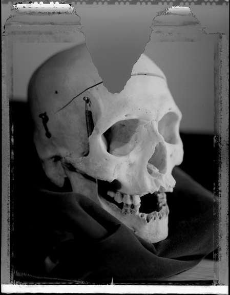 Not Del Close Skull,  Goodman Theater Chicago